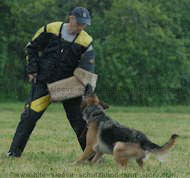 bite sleeve cover for schutzhund,police training