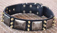 Best spiked Leather Dog Collar - massive plates+ brass3 spike
