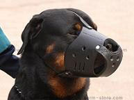 Everyday Leather dog muzzle
