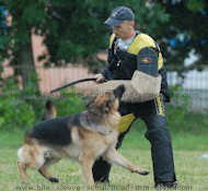 Schutzhund And Sport Bite Sleeve