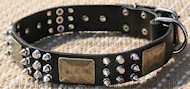 Custom Leather Dog Collar - brass massive plates&spike