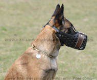 dog muzzles