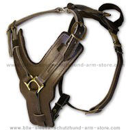 Exclusive Luxury Handcrafted Padded Leather Dog Harness