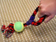 Fiber Bone with Ball and Handle