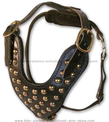 padded studded leather dog harness