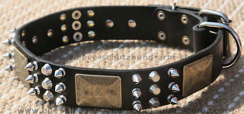 spiked leather dog collar