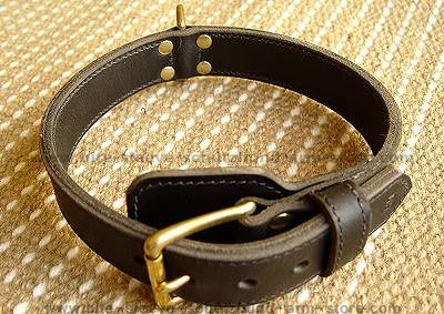 Two ply leather agitation dog collar - Click Image to Close