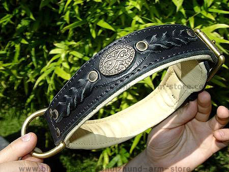 Royal Nappa Padded Hand Made Leather dog collar for dog training or for dog owners