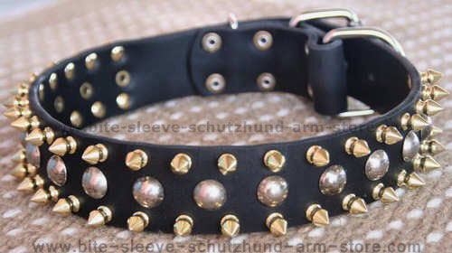 3 Rows with brass Leather Spikes and Studded Dog Collar - Click Image to Close