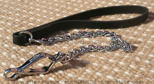 slip dog leash, chain dog leash