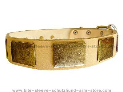 Handcrafted Leather Dog Collar With Vintage Massive Plates for dog training or for dog owners