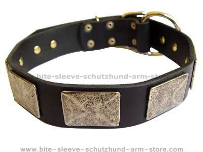 Handcrafted Leather Dog Collar With Vintage Massive Plates for dog training or for dog owners