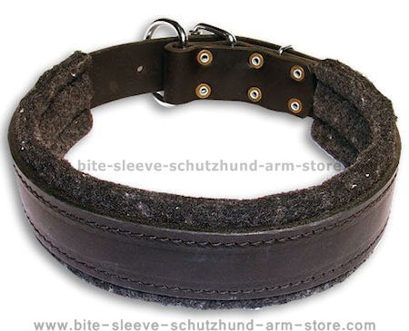 Padded Leather dog collar with thick felt for dog training or for dog owners