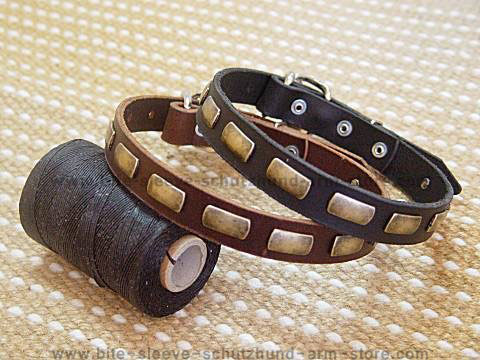 Leather Special Dog Collar With Plates for dog training or for dog owners