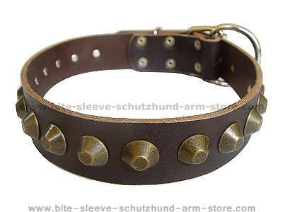 Gorgeous Wide Leather Dog Collar for dog training or for dog owners