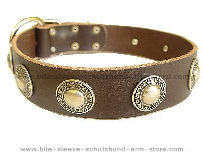 Leather  Dog Collar with silver conchos for dog training or for dog owners