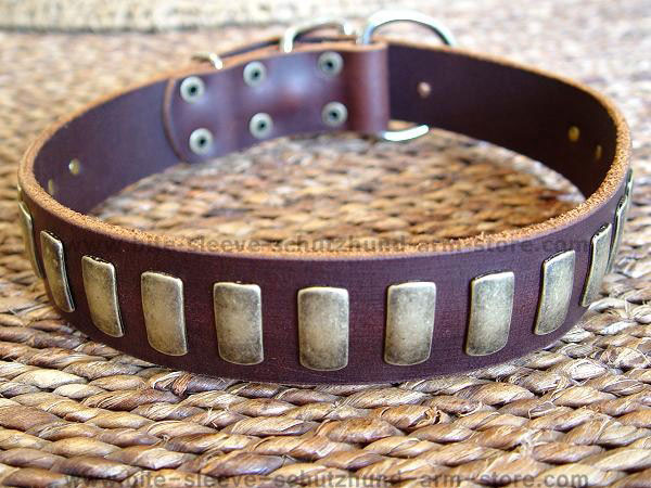 Gorgeous Wide Leather Dog Collar With Plates - Click Image to Close