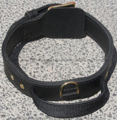 leather dog collar with handle for dog training