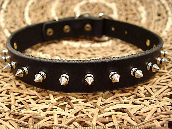 Leather Spiked Dog Collar- 1 Row of spikes collar for all dogs for dog training or for dog owners
