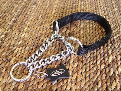 All Weather Nylon Martingale Dog Collar  for dog training or for dog owners