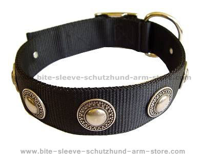 Nylon Dog collar with silver conchos - Click Image to Close