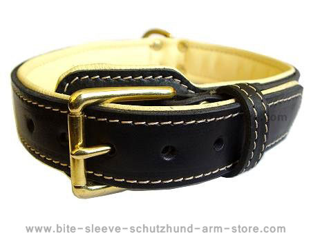 Royal Nappa Padded Hand Made Leather Dog Collar for dog training or for dog owners