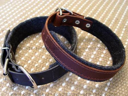 best leather padded dog collar