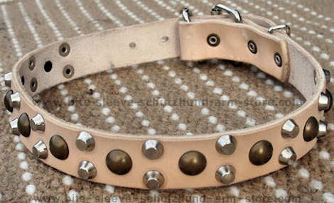 custom best dog collar