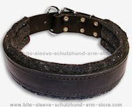 Padded Leather dog collar with thick felt