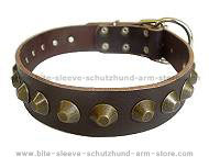 Gorgeous Wide Leather Dog Collar - Brown