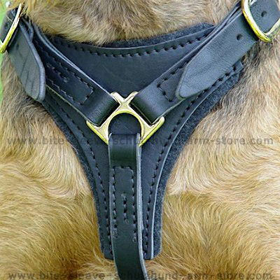 leather padded dog harness