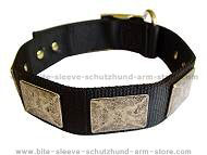 Nylon Dog Collar For Large and Medium Breeds With Vintage Plates