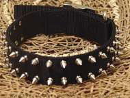 Black Nylon Spiked Dog Collar-2 Rows of spikes for all breeds