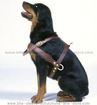 Fleece Padded Harness for police dogs-everyday dog harness