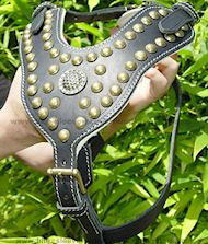 Royal Dog Harness - Exclusive Design Studded Leather Harness