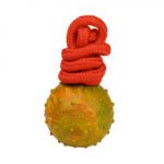 Dog Training Ball on String Made of High Quality Solid Rubber