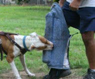 Dog Bite Leg Sleeves - Dog protection leg sleeve with bite bar