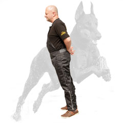 Agitation scratch pants for dog trainer