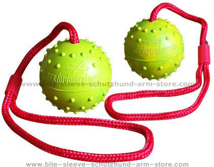 ball on a string for dogs