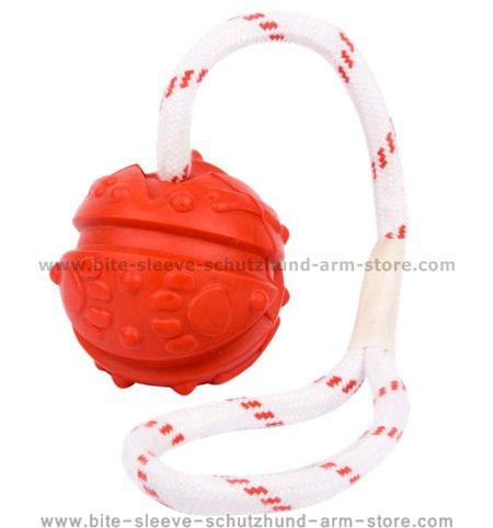 Similar to Everlasting Fun Ball on a Rope for police dogs